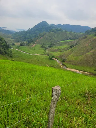Se Vende Finca Ganadera En Doradal