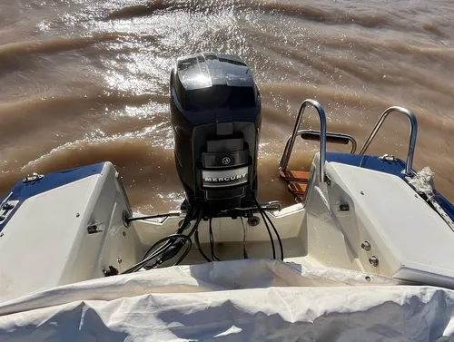 Paglietini Gacelux Mercury Blackmax 200 Hp 2 Tiempos