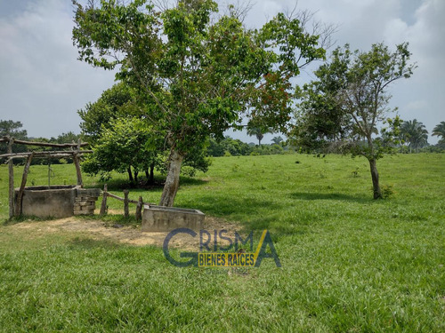 Rancho En Venta En  Carretera Cobos - Cazones