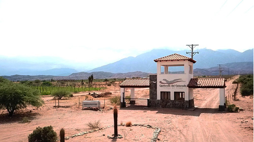 Quebrada Del Colorado, Cafayate, Lotes De 2500 A 3500 M2