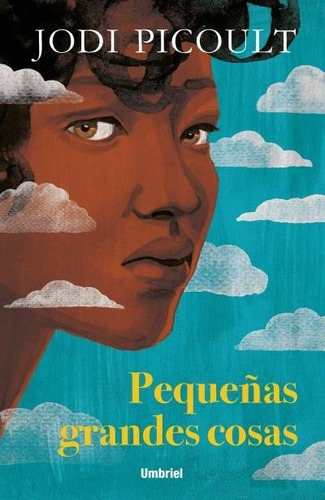 Libro Pequeñas Grandes Cosas - Jodi Picoult