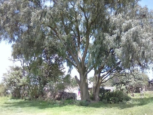 Imagen 6 de 7 de Terreno Comercial En Venta San Cosme Xaloztoc