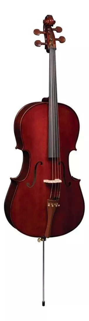 Segunda imagem para pesquisa de violoncelo