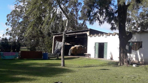 7 Hectareas Y Media En Batan Ideal Emprendimiento De Viviendas