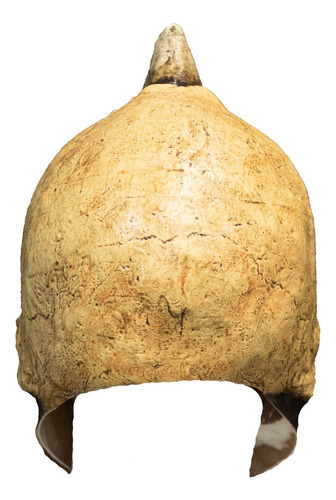 Máscara Skel Creature Mask Cráneo Demonio Calavera Terror