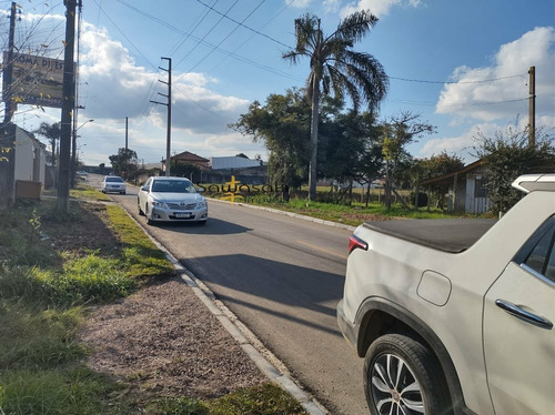 Imagem 7 de 13 de Terreno Para Aluguel Em Uberaba Curitiba-pr - 7340