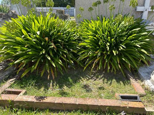 Vendo Dos Parcelas En Cementerio De Marcos Paz Por 50 Años