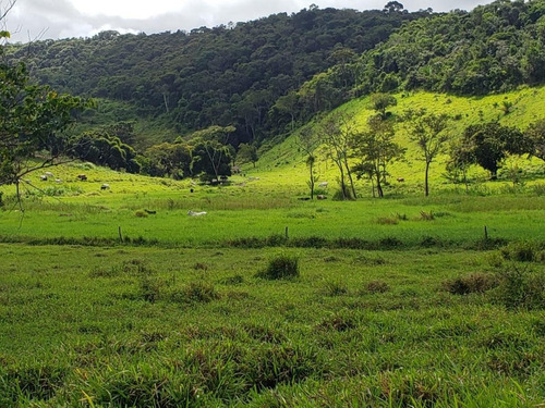 Imagem 15 de 15 de Fazenda Para Venda Em Canhotinho, Zona Rural - In - 0010_1-2014430