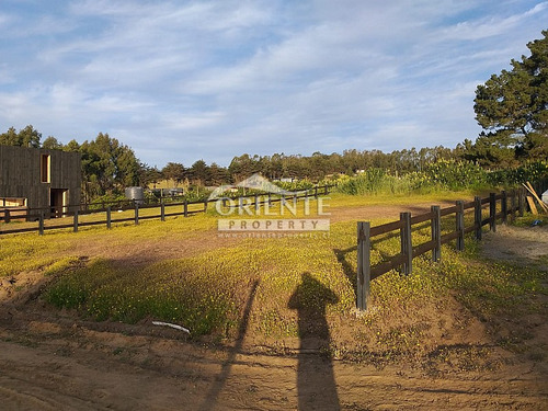 Oferta Sitios En Condominio Punta De Lobos Pichilemu