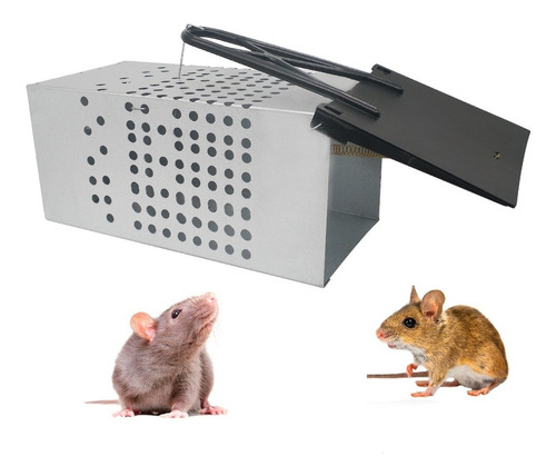 Ratoeira Tipo Gaiola Metálica Grande Para Captura De Ratos