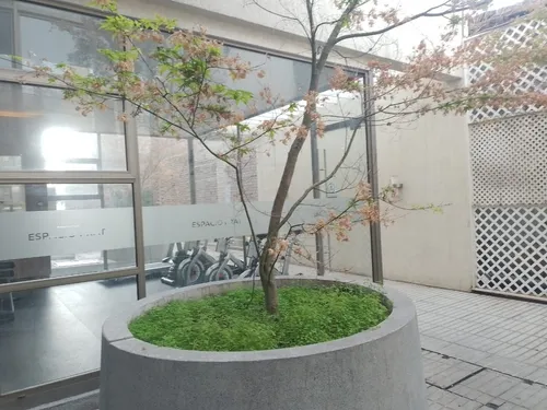 Arriendo Departamento Arturo Prat 1d-1b