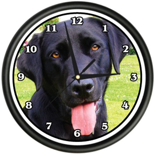 Labrador Negro Reloj De Pared Perro Doggie Mascota Raza Rega