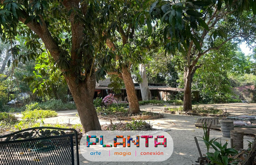 Cabañas Ecológicas En Renta Diseñadas Para Nómadas Digitales - Con Servicios Y Casa Club - Cerca De La Playa