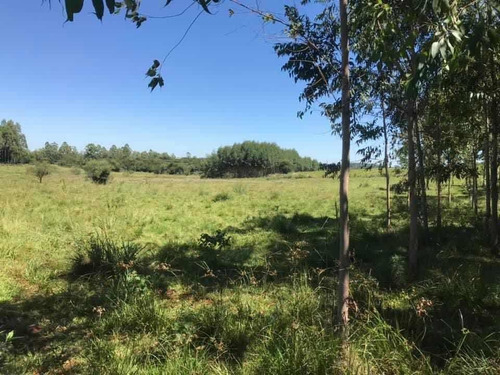 Imagen 11 de 16 de En Venta Parcela De 17 Hectáreas En Miranda