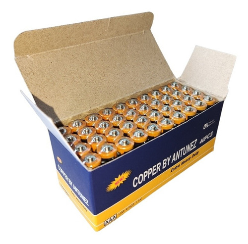 Caja Pack 40 Pilas Aaa Triple A Marca Copper 1.5v