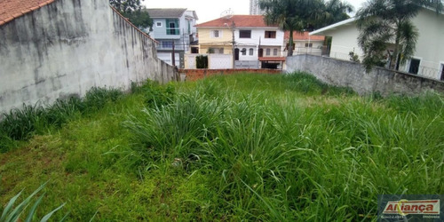Imagem 4 de 15 de Terreno Residencial À Venda, Jardim Santa Mena, Guarulhos - Te0284. - Ai8243