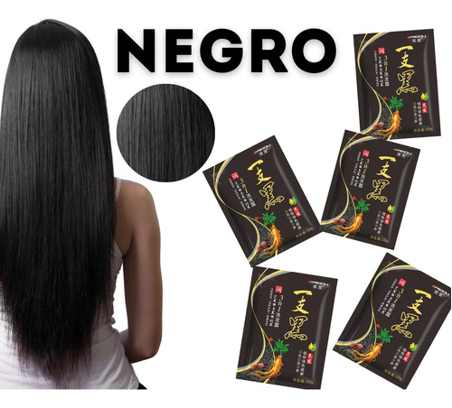 5pz Shampoo Coreano Tinte Instantáneo Cubre Cana Color Negro