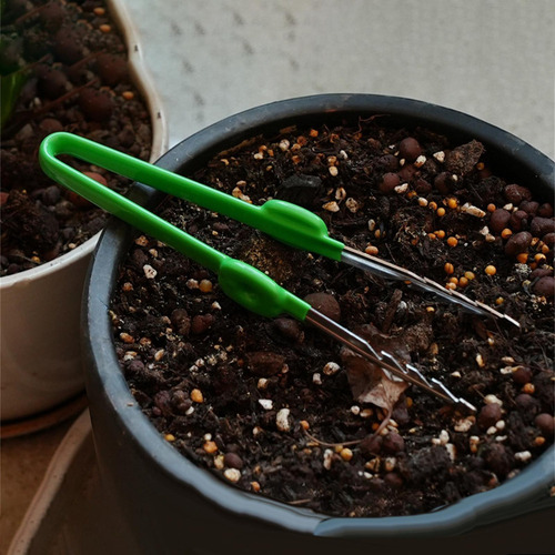 Suculentas Pinzas Herramientas Bonsai Tool Pinzas De Punta