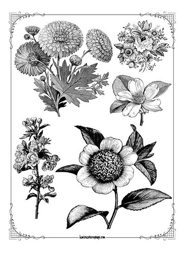 Imagen 8 de 9 de Láminas Para Transferencias Tamaño A4 - 21 X 29 Cm - Vintage