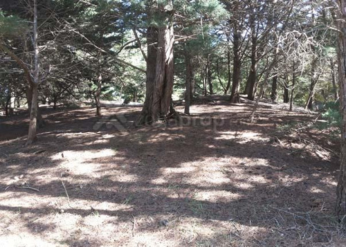 Imagen 4 de 8 de Lote De 675 M2 Sobre Calle Sin Salida - Mar De Las Pampas | Cod.0224 |