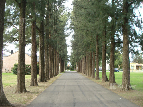 Terreno En La Otilia