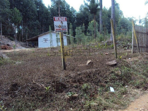 Chácara A Venda No Bairro Centro Em Mandirituba - Pr. - 5255-1