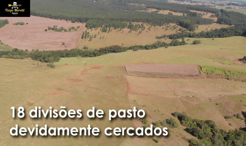 Imagem 19 de 19 de Excelente Fazenda Á Venda Com Ótima Localização Sarutaiá-piraju - Fa00036 - 68204645
