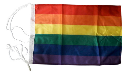 Bandera Lgbt Orgullo Gay Arcoiris Diversidad 30 X 45cm