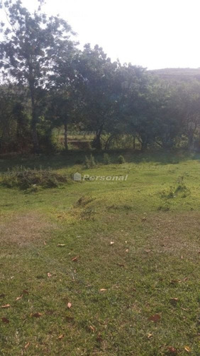 Imagem 6 de 6 de Lote / Terreno Em Ipiranga - Taubaté - 22