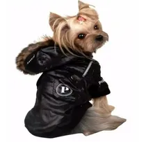 Comprar Kit Imprimible Moldes Y Patrones Ropa Para Perros Confeccion
