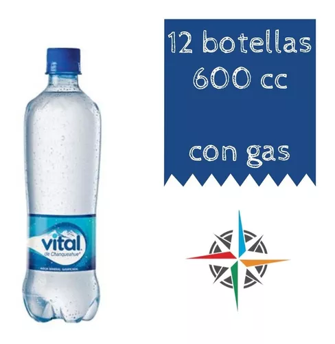 12x Agua Mineral Vital Sin Gas Botella 600cc