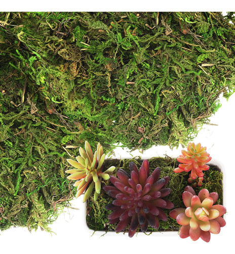 Plantas Artificiales De Interior, Musgo Teñido De Verde, Mus