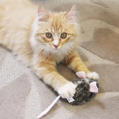 Juguetes Interactivos Para Gatos De Interior, Con Gris