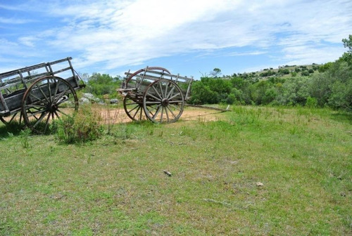 Quinta | Ruta 12 Y 5kms De Camino Vecinal