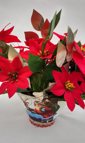 Arranjo De Flor Natal Bico De Papagaio C/ Fico Vaso Natalino | Parcelamento sem juros Arranjo De Flor Natal Bico De Papagaio C/ Fico Vaso Natalino | Parcelamento sem juros