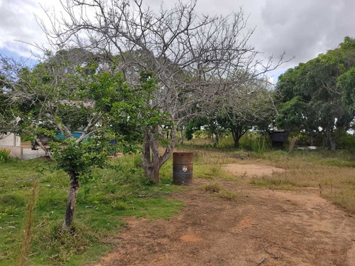Se Vende Finca En Aribi, Via Al Sur De Monagas Ve02-554vs-dced