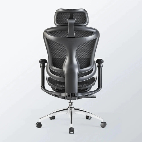 Cadeira Ergonômica Para Escritório Sihoo Doro C100