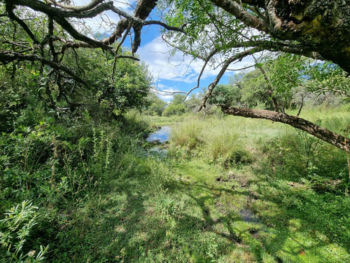 Imagen 13 de 13 de Venta De Lotes En Estancia La Cunka! Con Vista A Las Sierras!