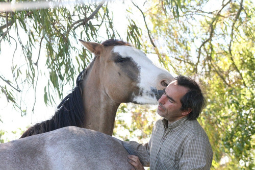 Imagen 3 de 3 de Libro: Y Le Susurre Al Caballo - David Castro