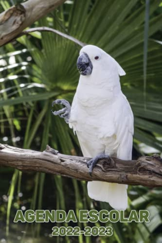 Agenda Escolar 2022 2023: Planificador Diario Portada Loro C