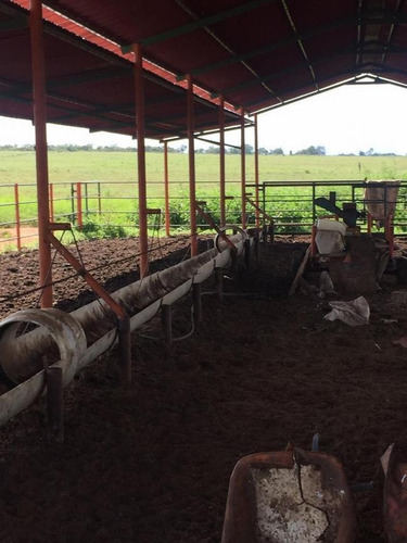 Imagen 8 de 14 de Finca En Venta Areo - Municipio Cedeño