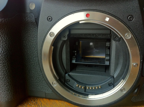 Canon Eos 7d 18 Mp Cmos Cámara Digital Slr Cuerpo Sólo () Color Negro