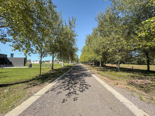 Imagen 2 de 21 de Lote Con Amenities De 440 M2 En Pinares Del Sur