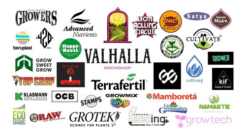 Semillas De Eneldo Sobre De 1gr Valhalla Grow Shop