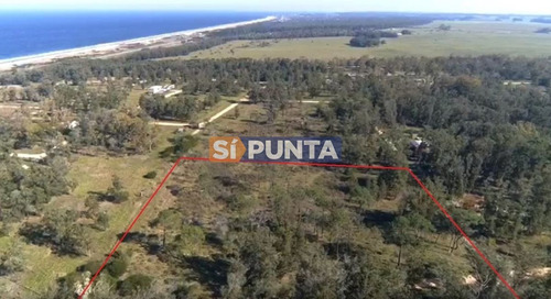 Imagen 2 de 2 de Chacra En Venta - Eden Rock