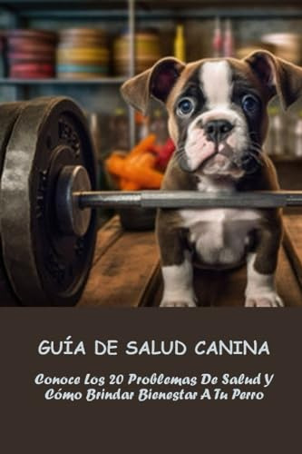 Guía De Salud Canina: Conoce Los 20 Problemas De Salud Y Cóm