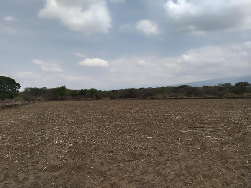 Vendo Terreno Ideal Para Siembra, Invernadero, Rancho Etcétera!