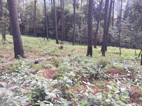 Imagen 7 de 7 de Tva150 Terreno En Venta