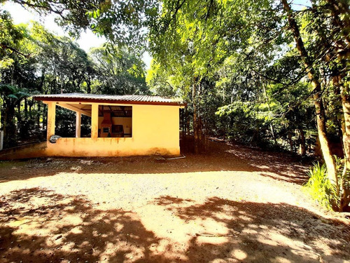 Imagem 18 de 29 de Chácara À Venda, 5000 M² Por R$ 300.000,00 - Borda Do Campo - São José Dos Pinhais/pr - Ch0065