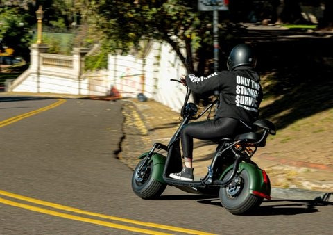 Scooter Electrico Citycoco C/ Soporte Golf 2 Asiento 1500 Ap